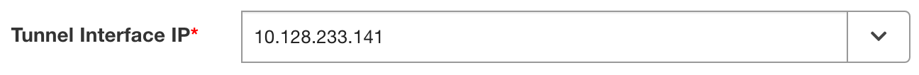 Tunnel Interface IP